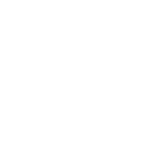 Logo of Blink - a public charging network partner.