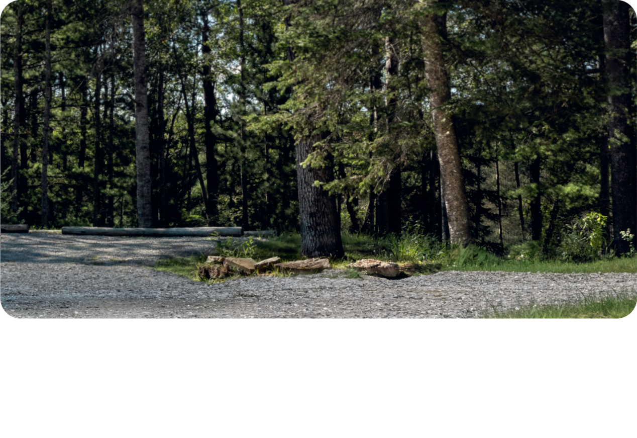 Image de forêt pour le Chevrolet Tahoe High Country 2025.