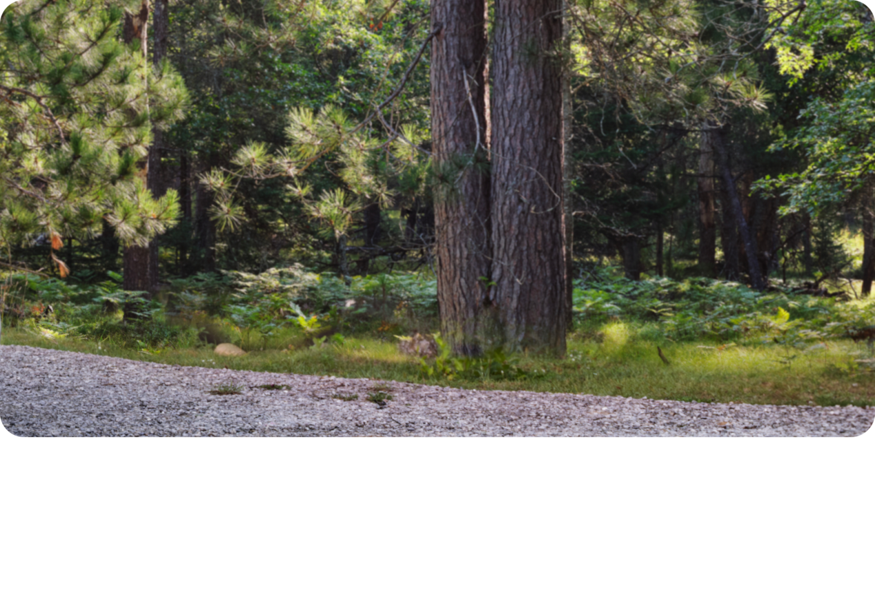 Image d’arbre pour le Chevrolet Tahoe LT 2025.