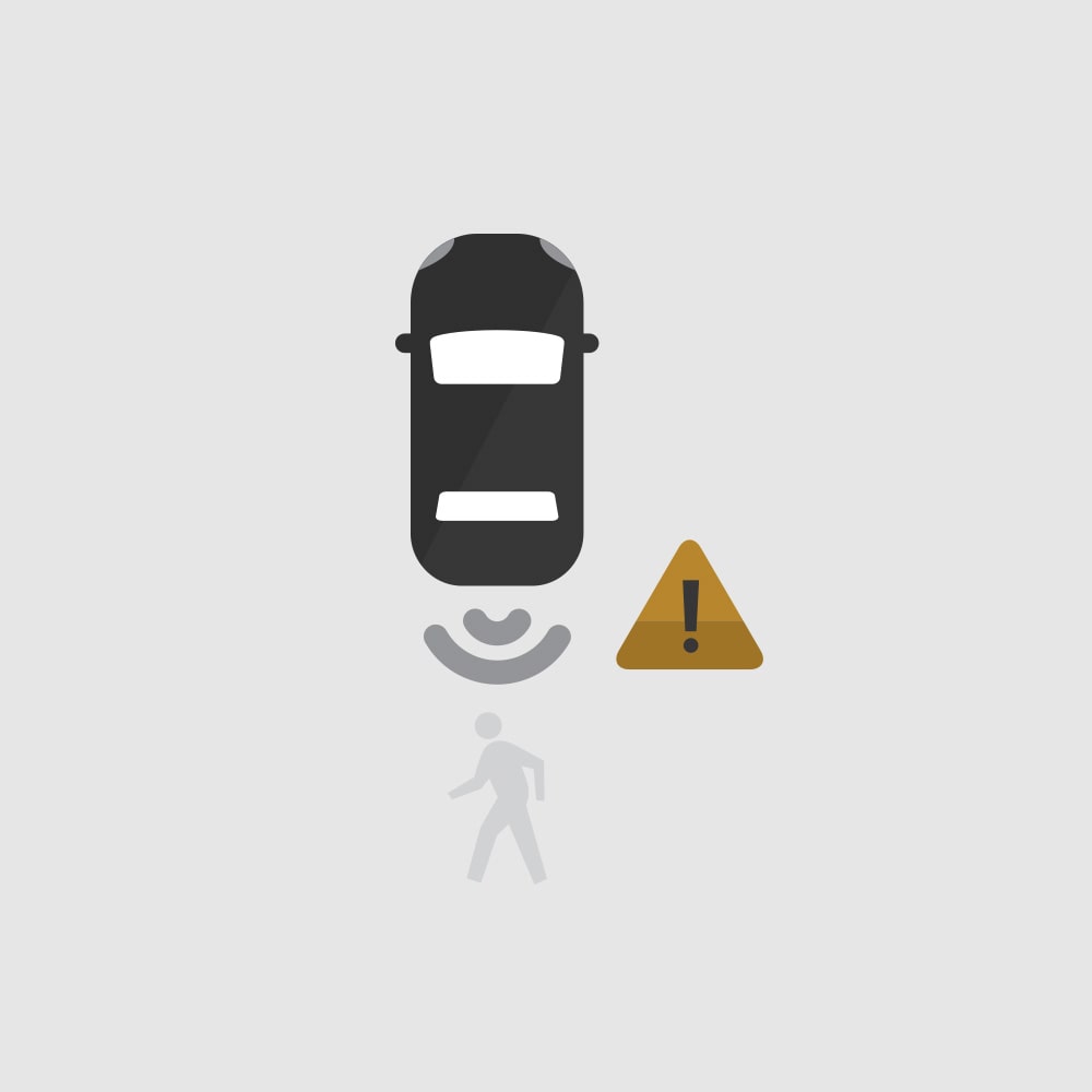 Rear Pedestrian Protection icon.